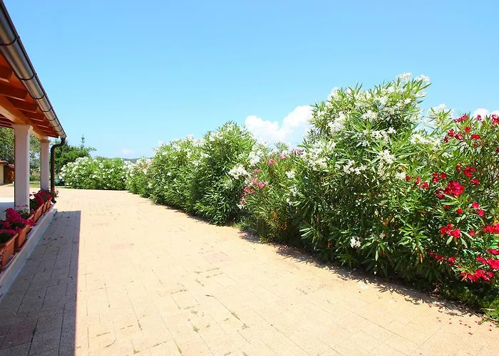 Prázdninový dům Valmoneda Rovinj